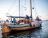 (foto Harry van 't Veld)